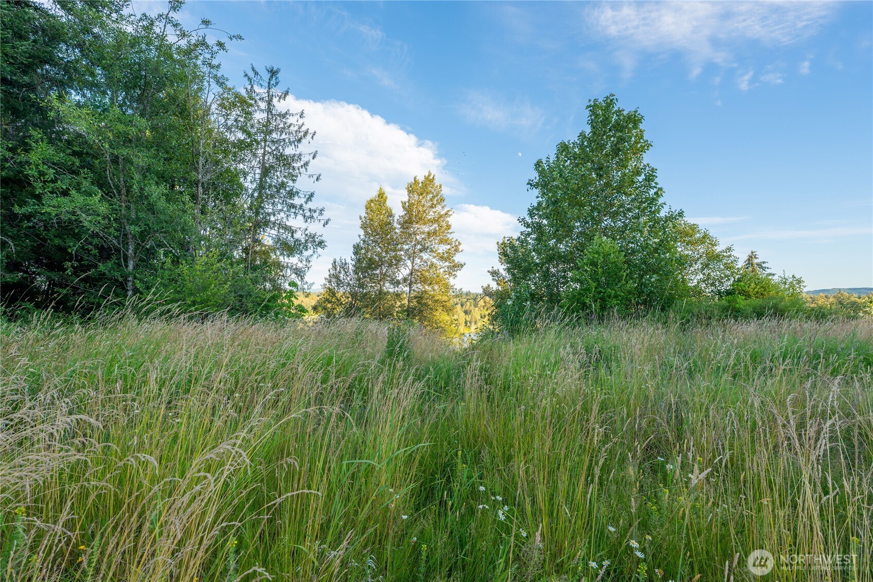 0 Middlecrest Drive Lot 1 Property Photo 12
