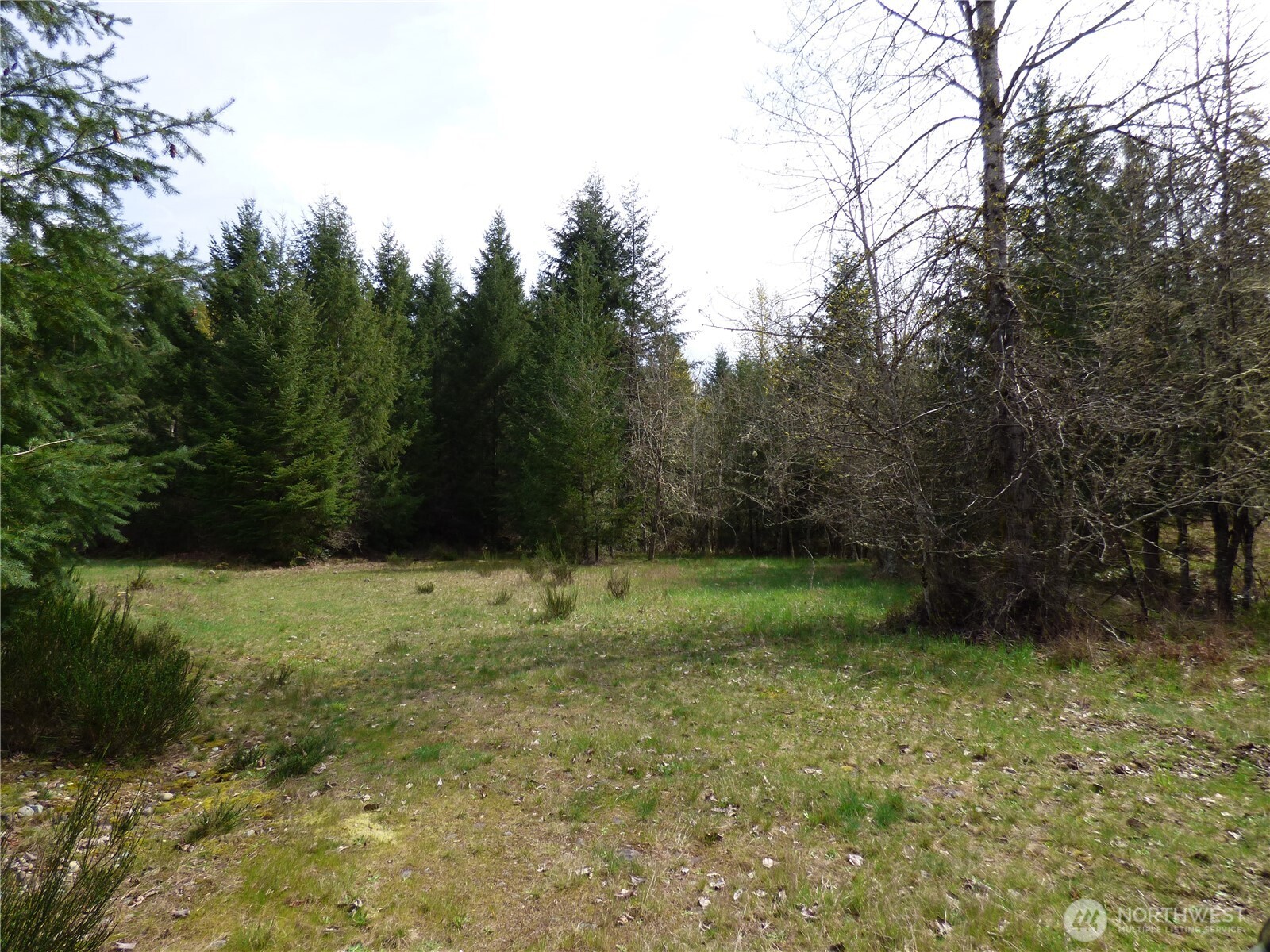 17012 226th Street Ct Property Photo 2