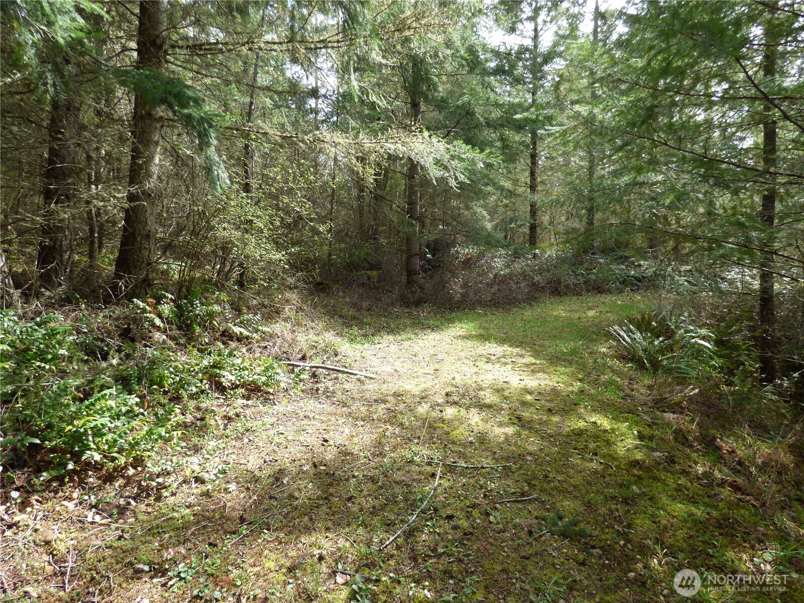 17012 226th Street Ct Property Photo 5