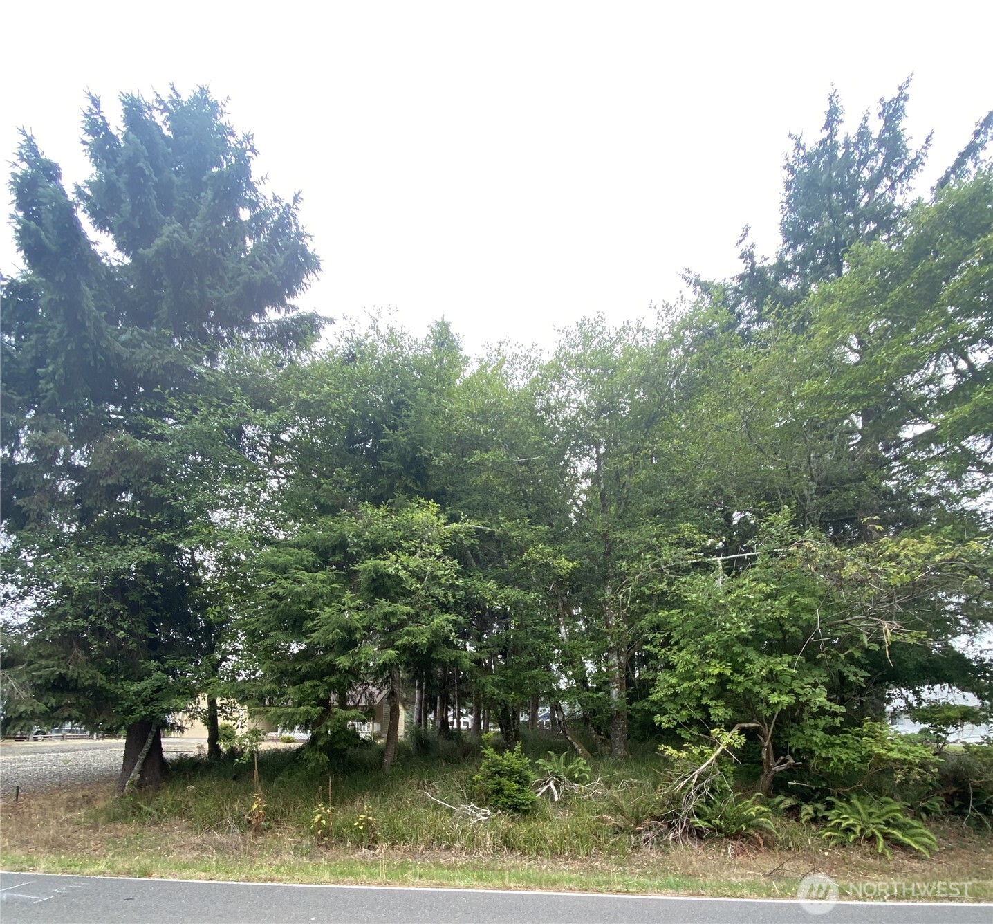 135 Duck Lake Drive Property Photo 1