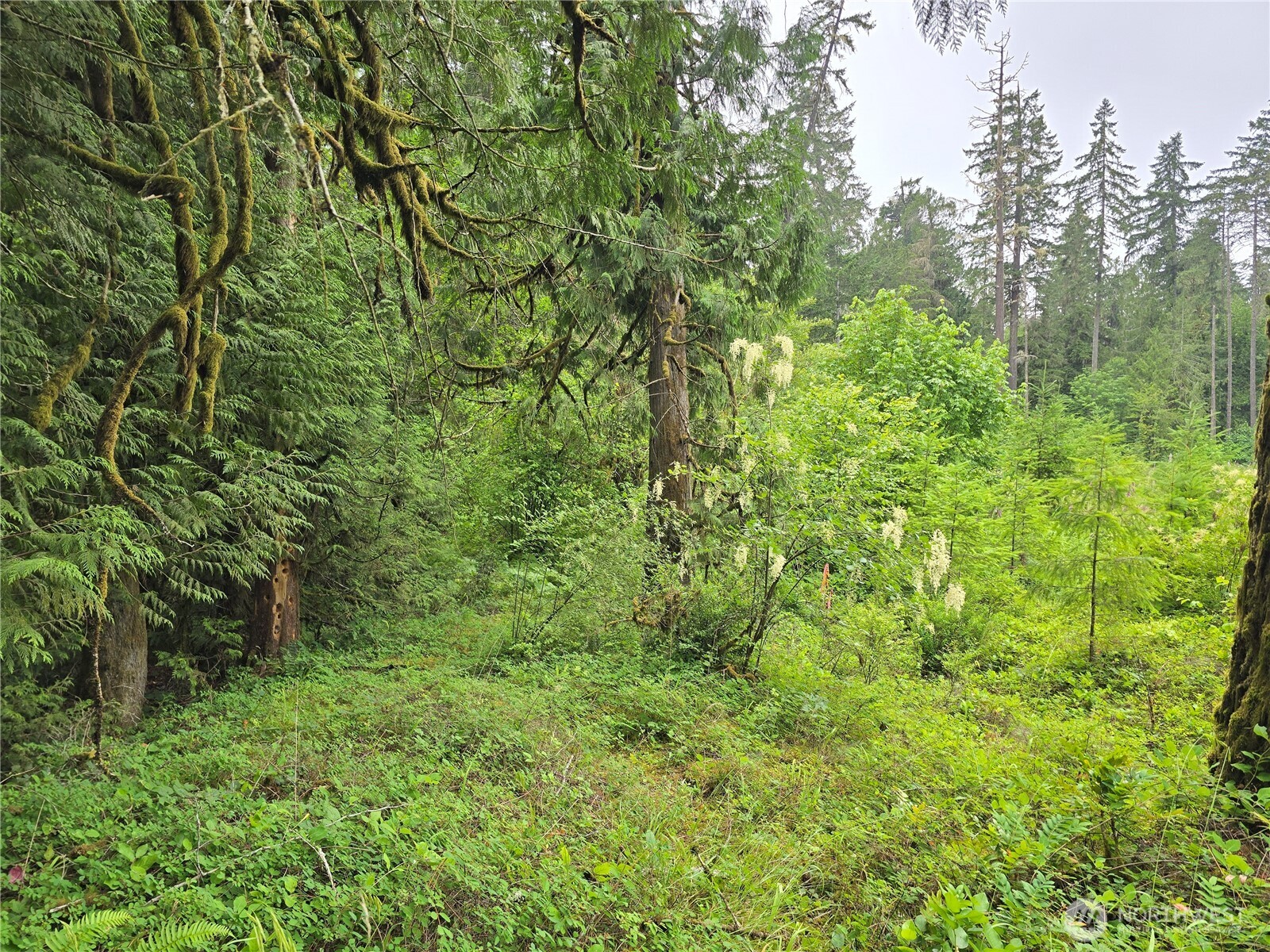 123 N Us Highway 101 Property Photo 6