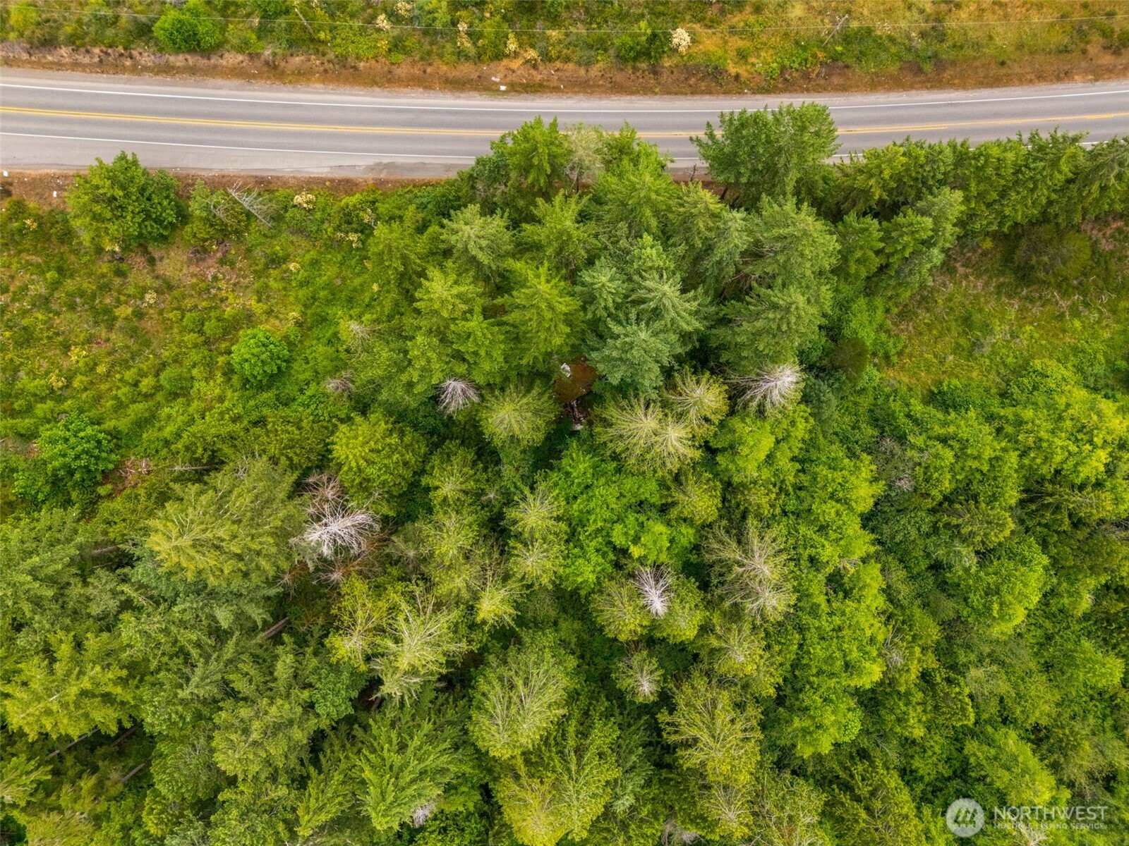 123 N Us Highway 101 Property Photo 15