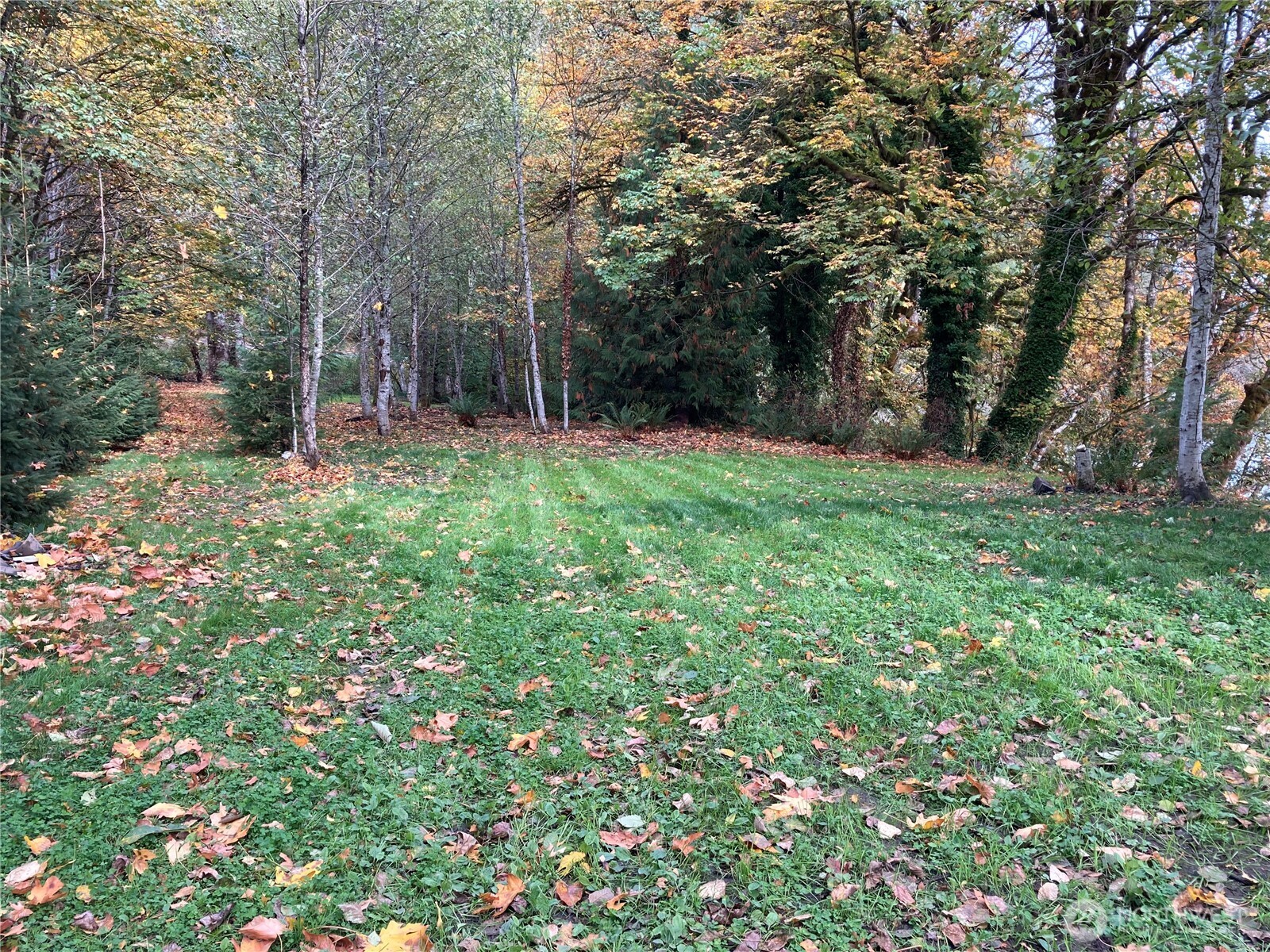10909 State Route 530 Property Photo 5