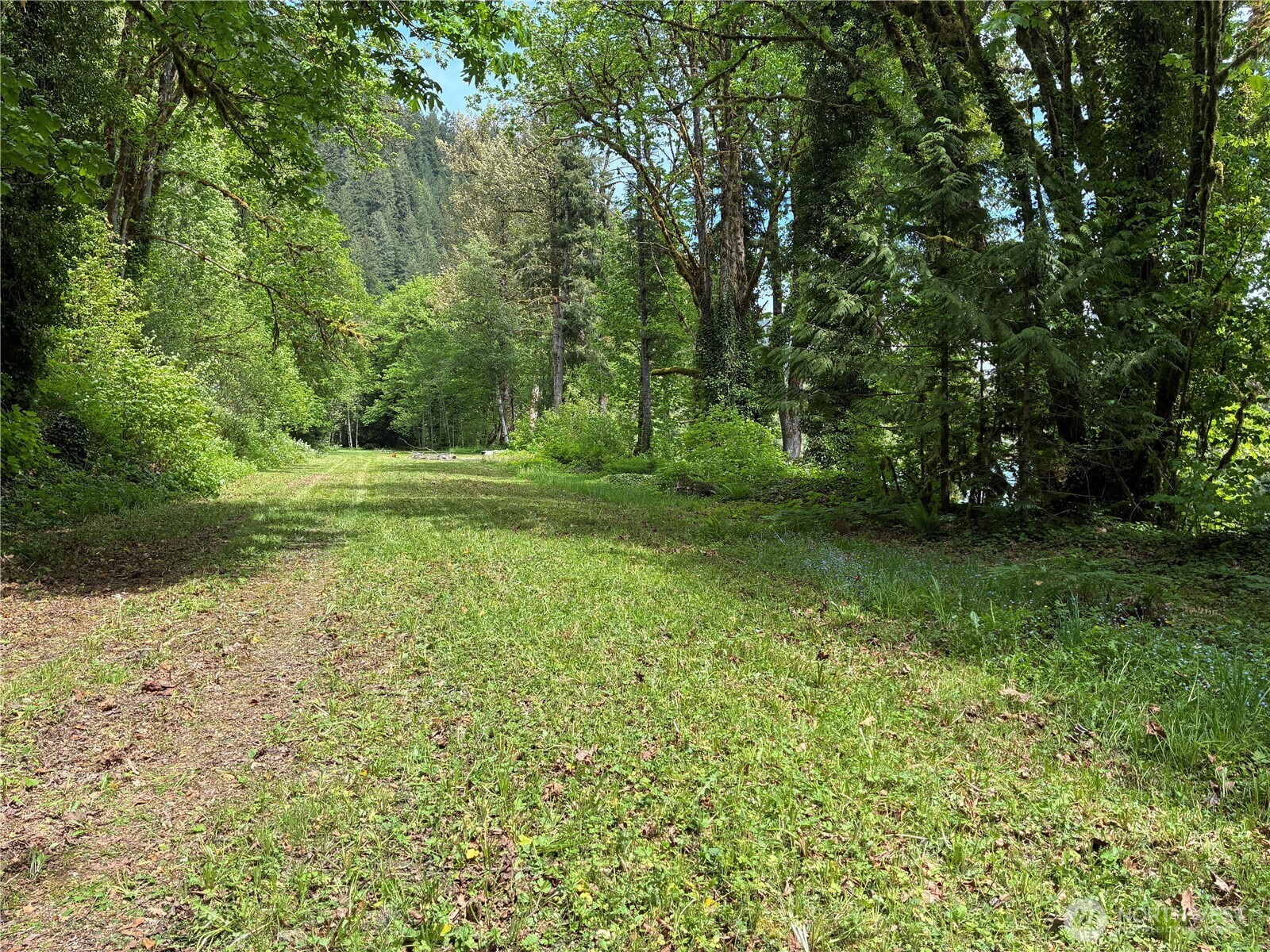 10909 State Route 530 Property Photo 9