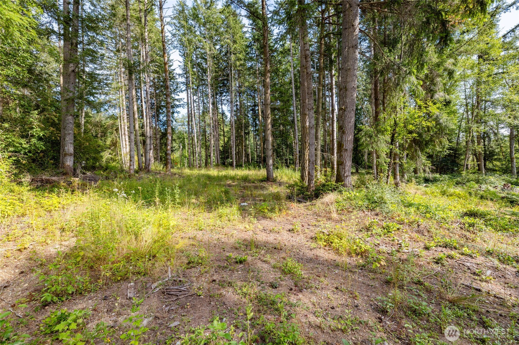 0 Xxx Bailey Road (lot 1) Property Photo 5