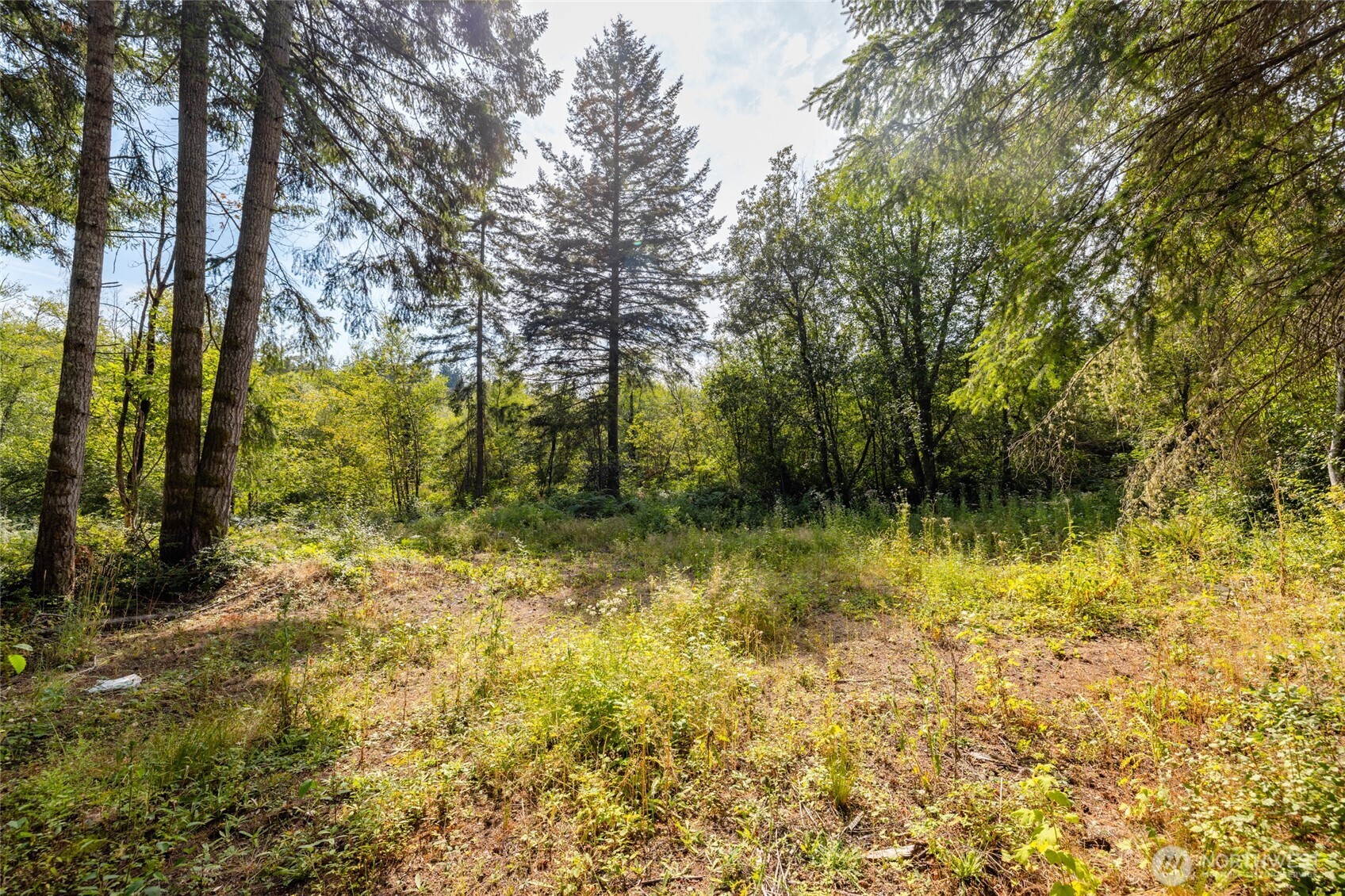 0 Xxx Bailey Road (lot 1) Property Photo 7