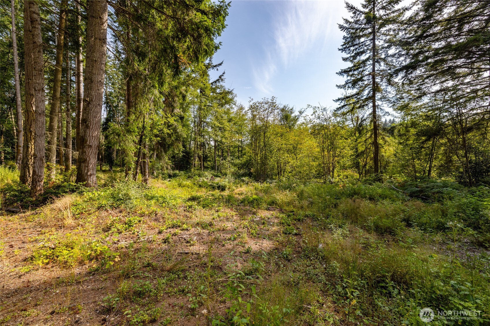 0 Xxx Bailey Road (lot 1) Property Photo 8