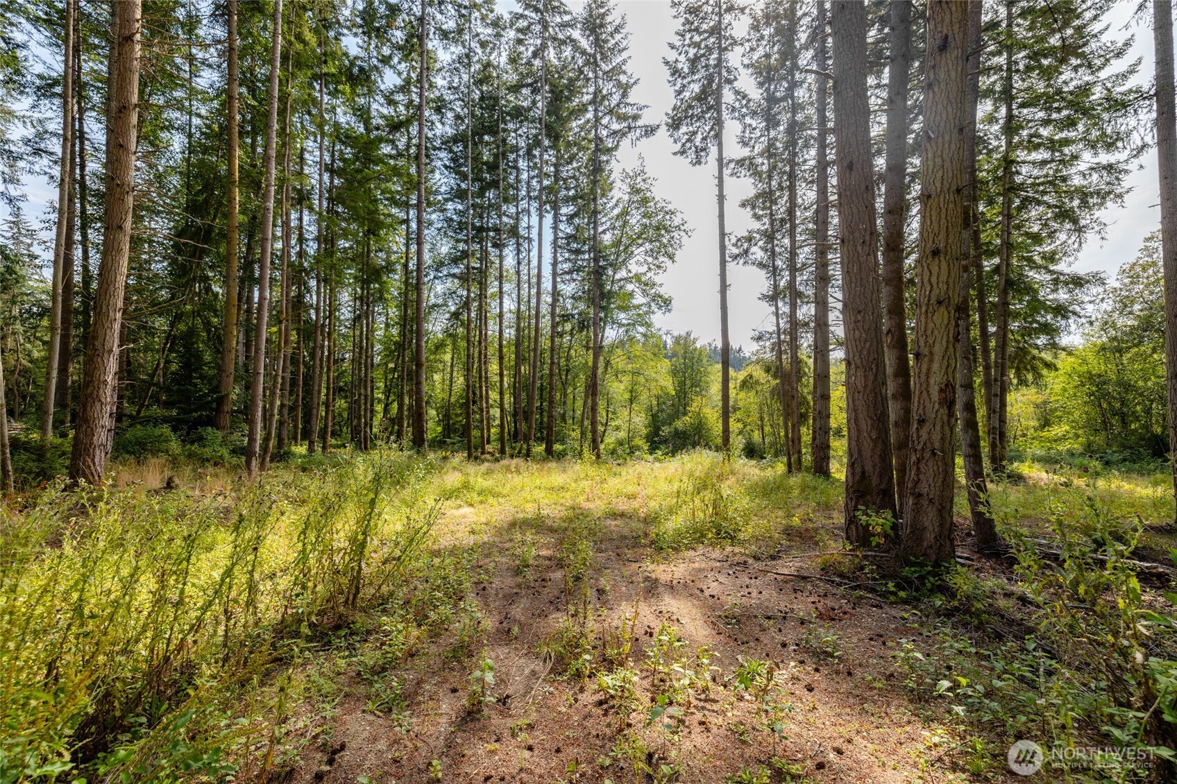 0 Xxx Bailey Road (lot 2) Property Photo 6