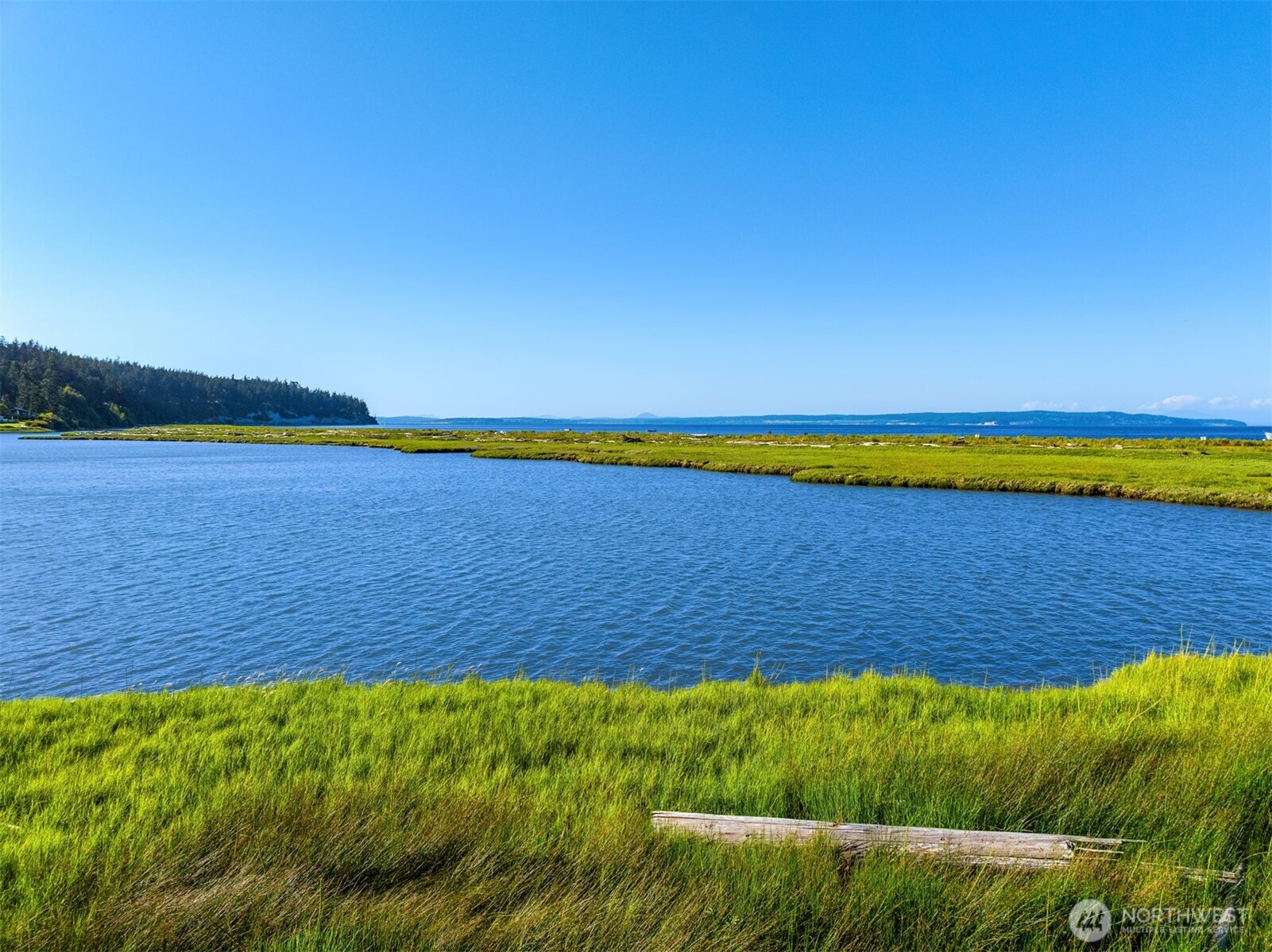 507 Race Road Property Photo 15