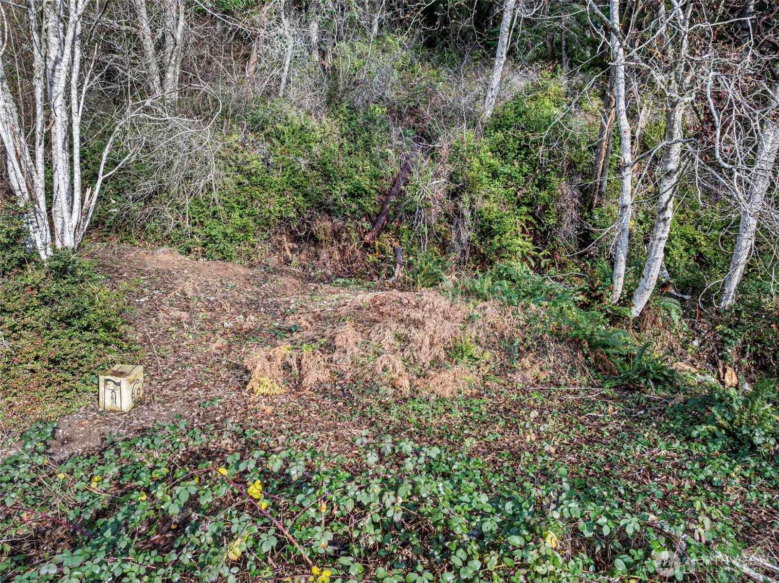7364 Ne North Shore Road Property Photo 24