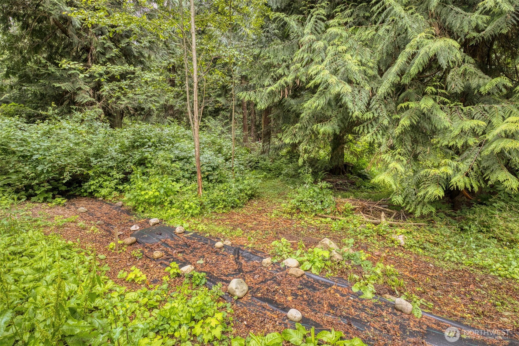 37841 Hansville Road Property Photo 20