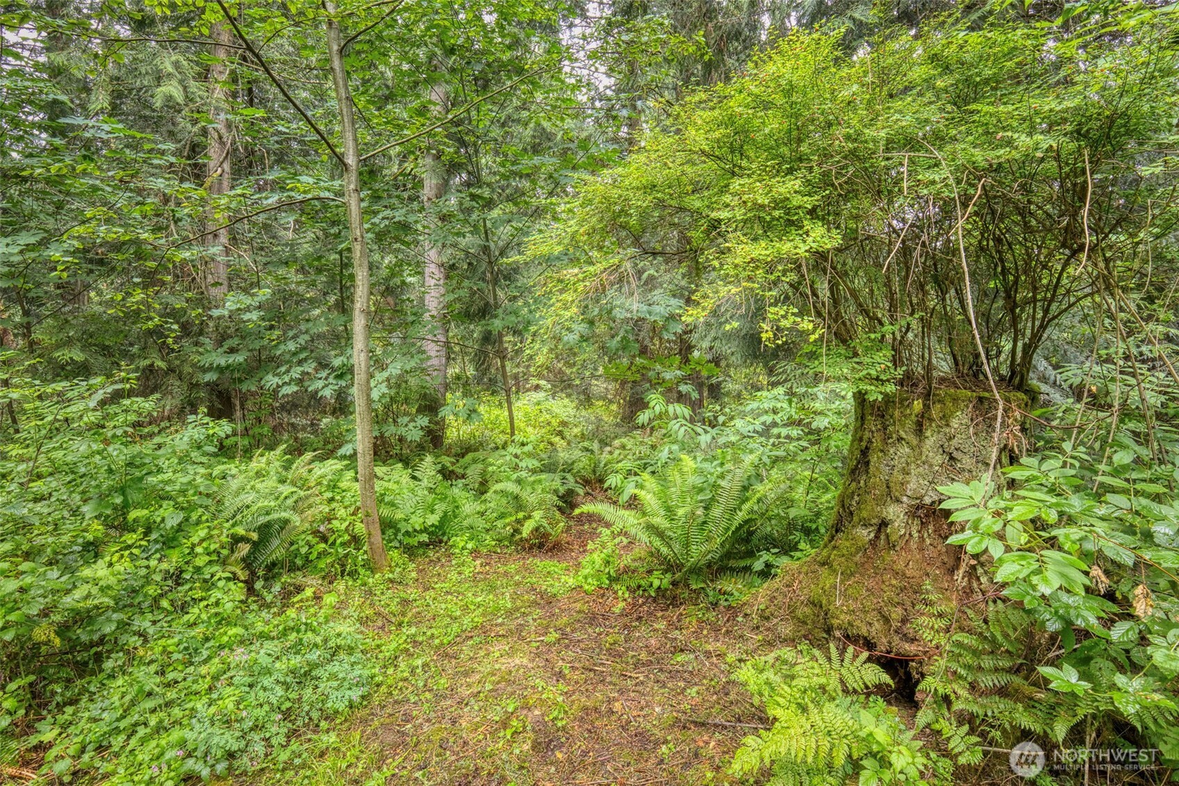37841 Hansville Road Property Photo 26