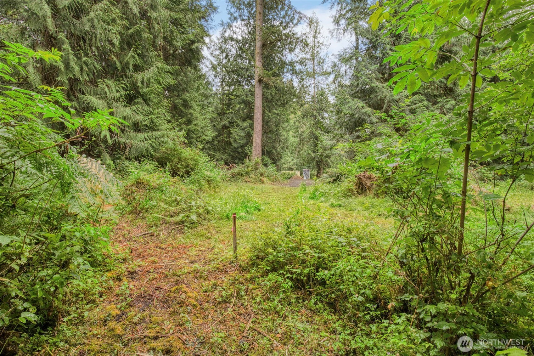 37841 Hansville Road Property Photo 27