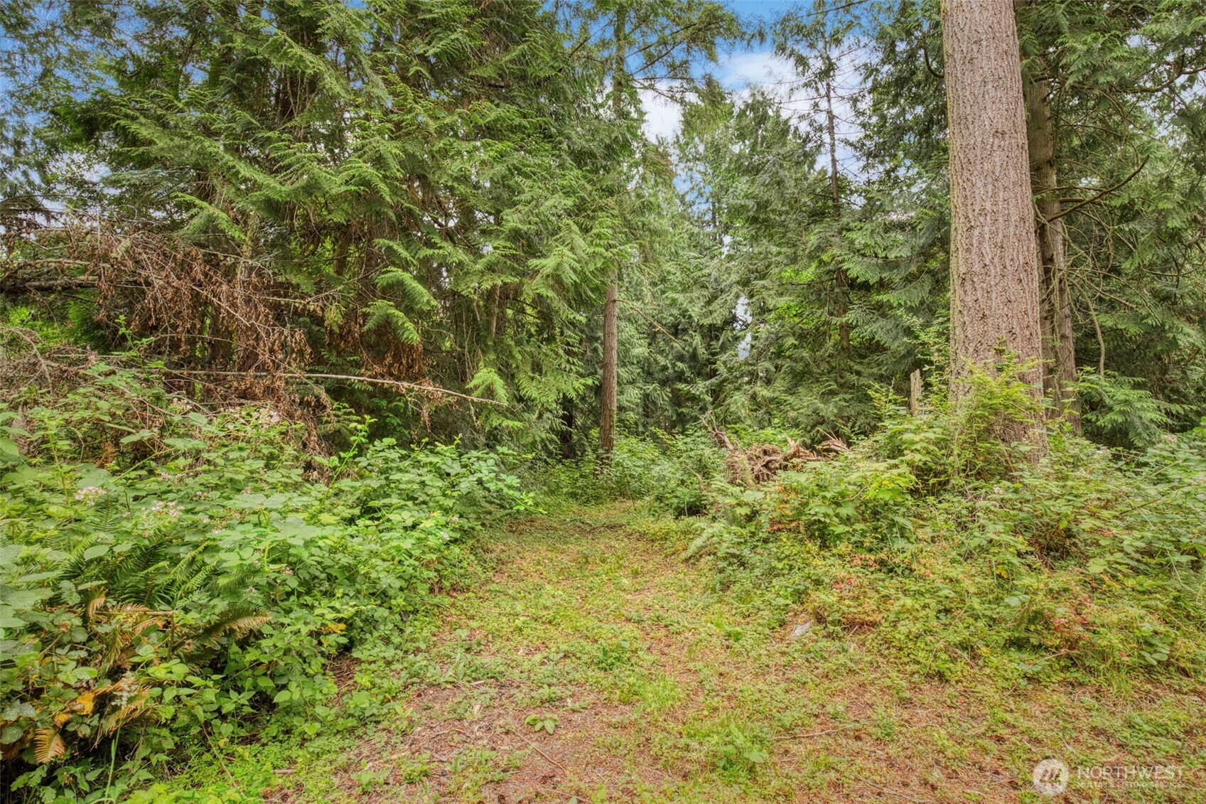 37841 Hansville Road Property Photo 28