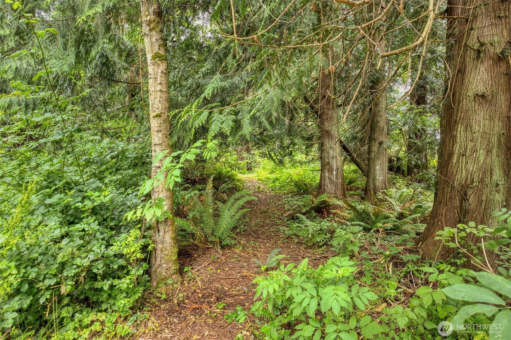 37841 Hansville Road Property Photo 32