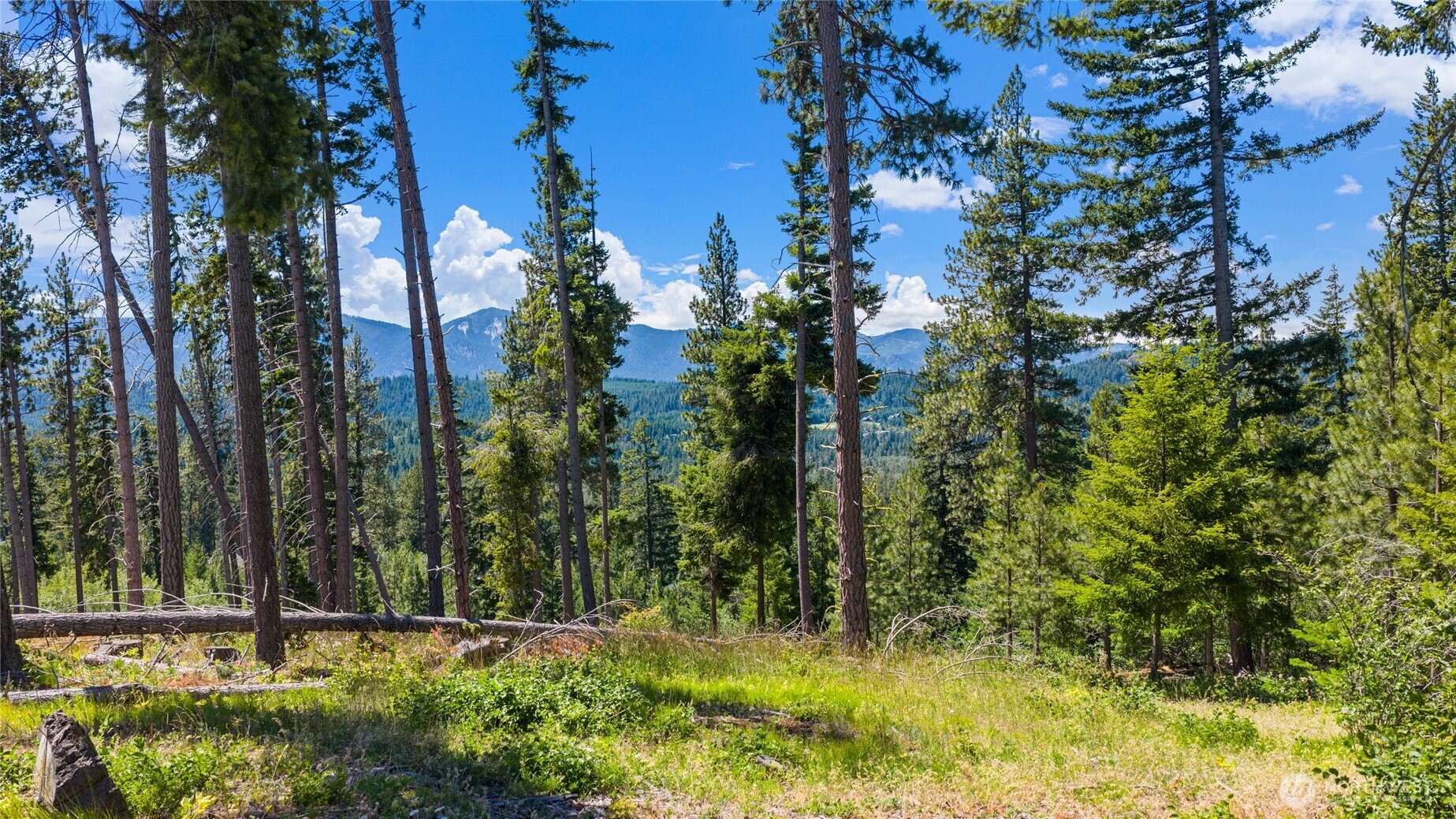 4 Red Sky Way Property Photo 3