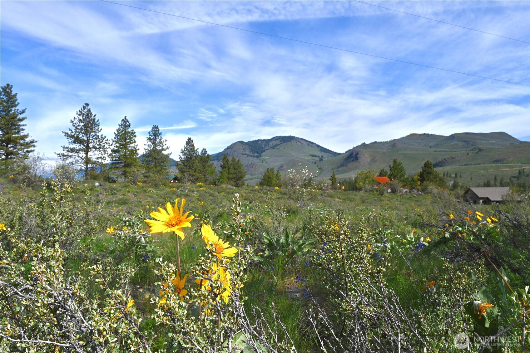 0 Green Meadows Property Photo 1