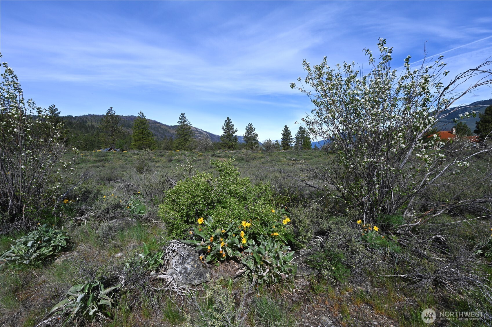 0 Green Meadows Property Photo 7