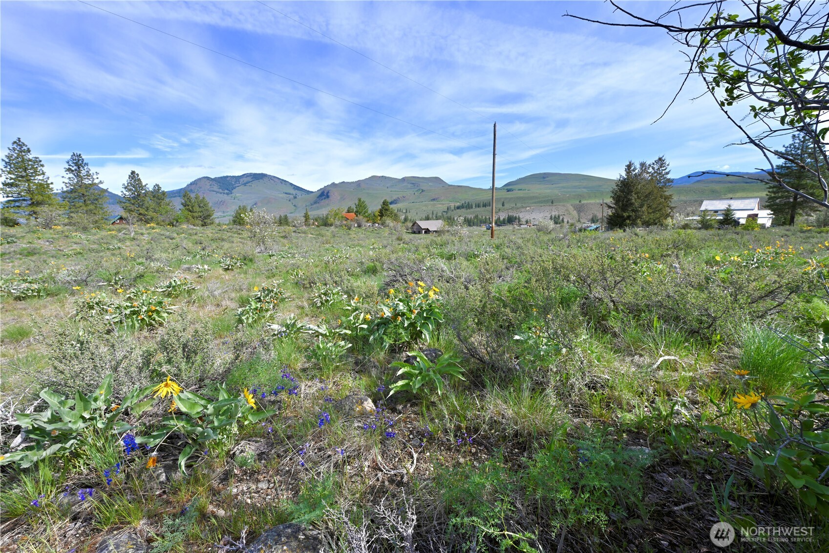 0 Green Meadows Property Photo 10