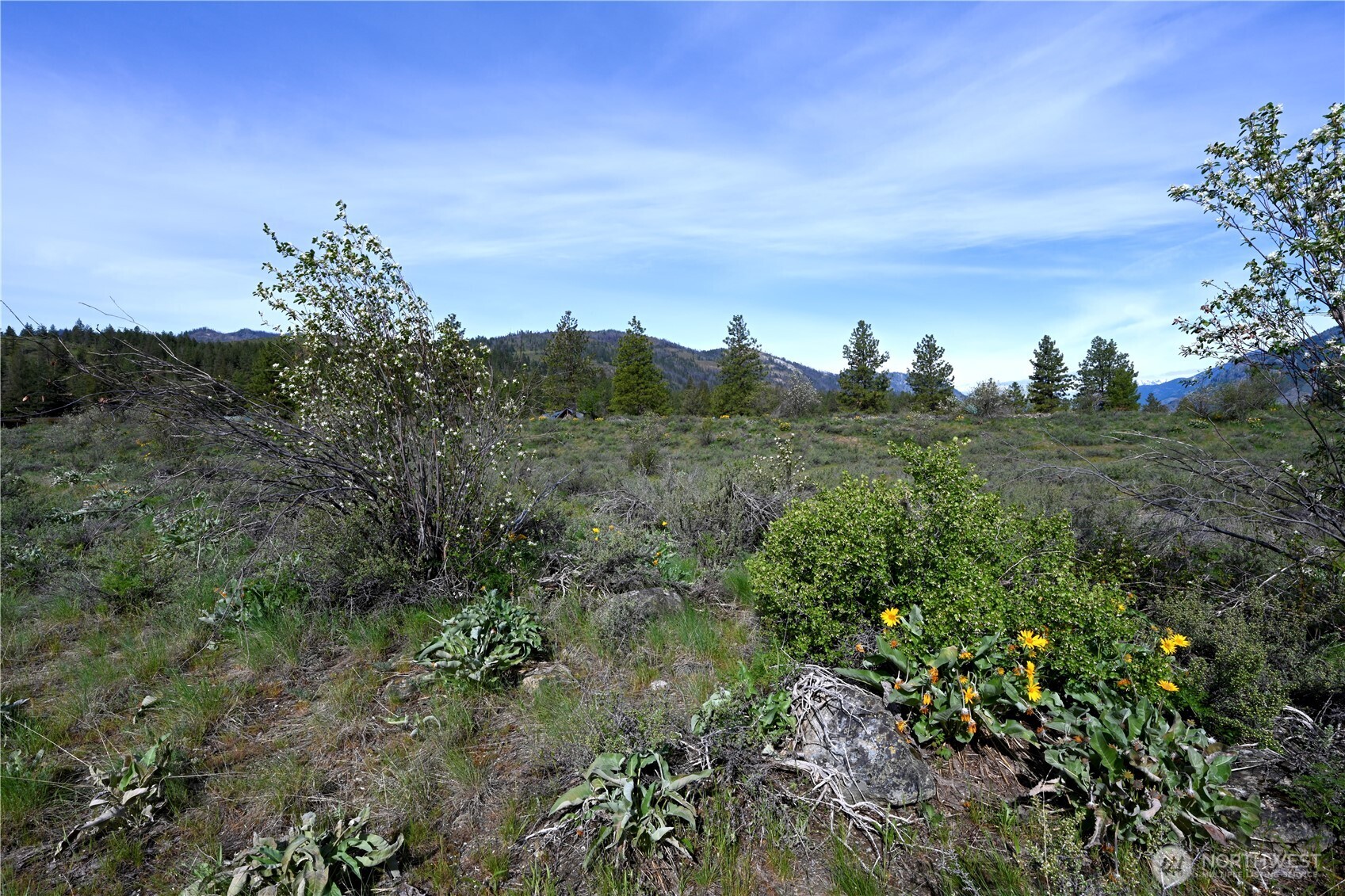 0 Green Meadows Property Photo 11