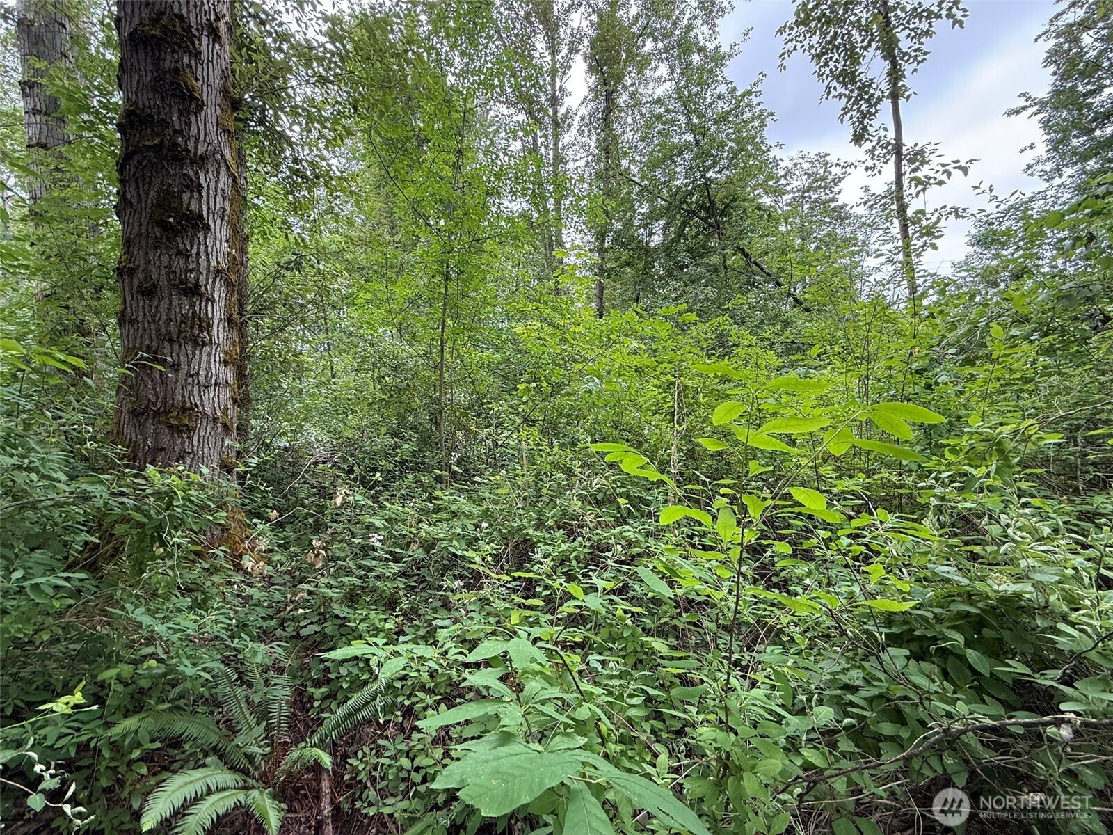 1810 S 27th Street Property Photo 1