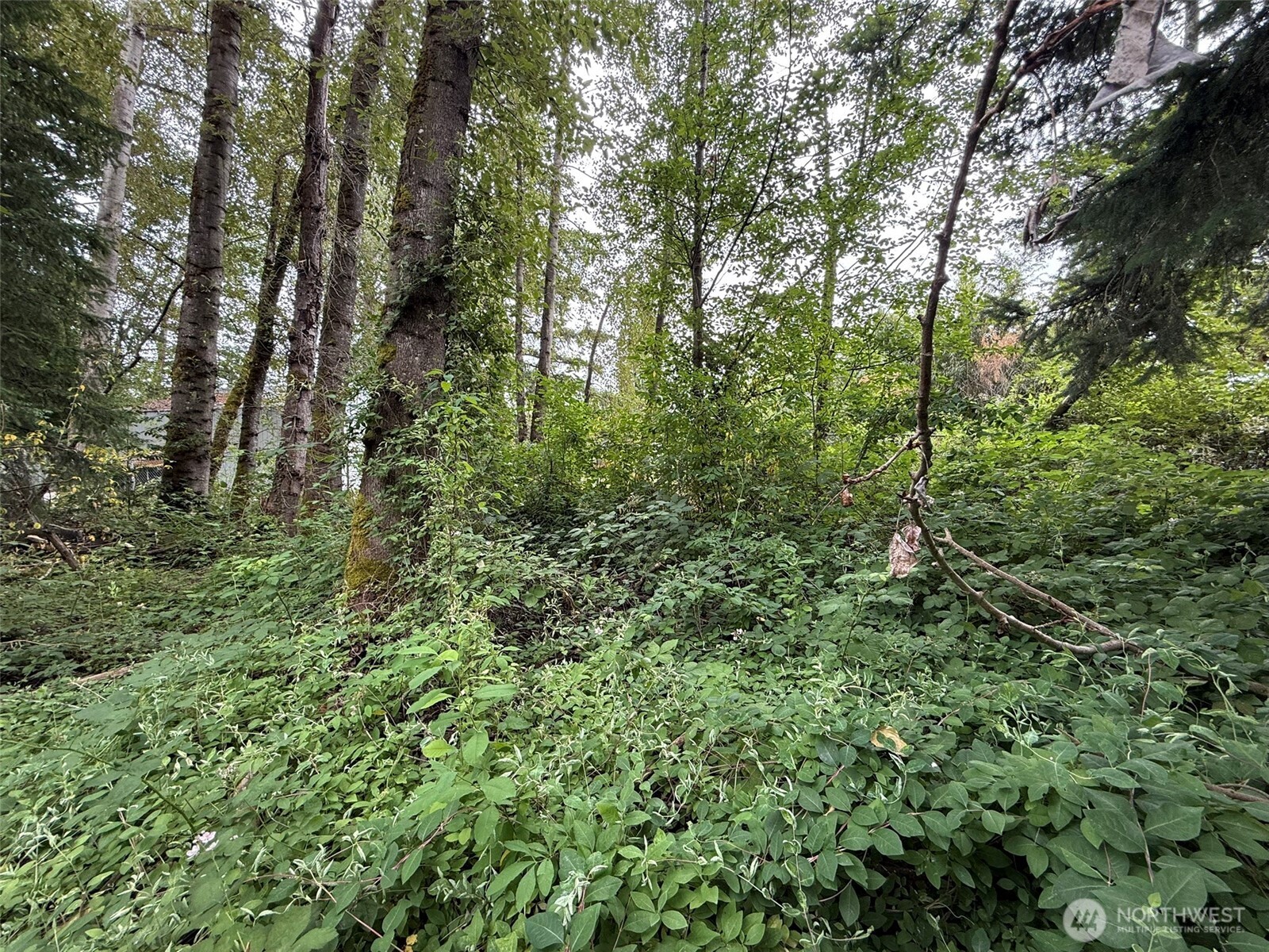 1810 S 27th Street Property Photo 3
