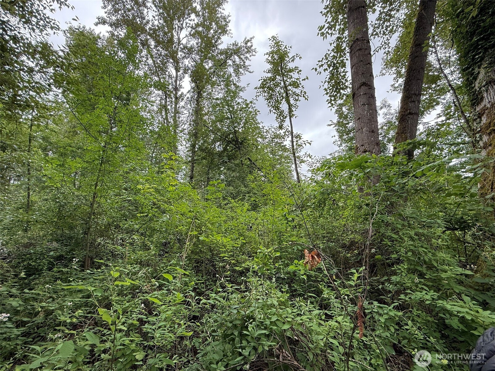 1810 S 27th Street Property Photo 4