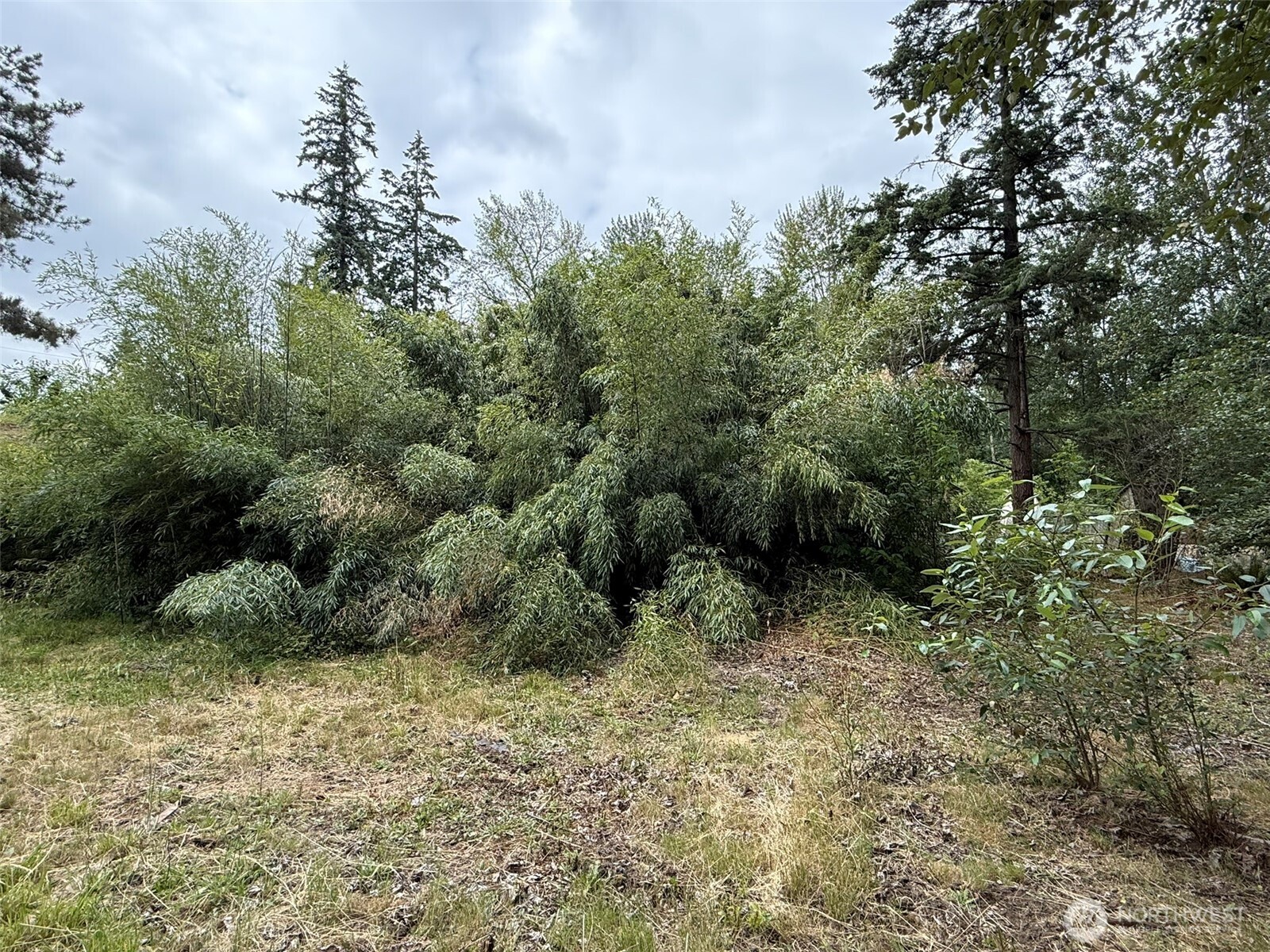 1810 S 27th Street Property Photo 5