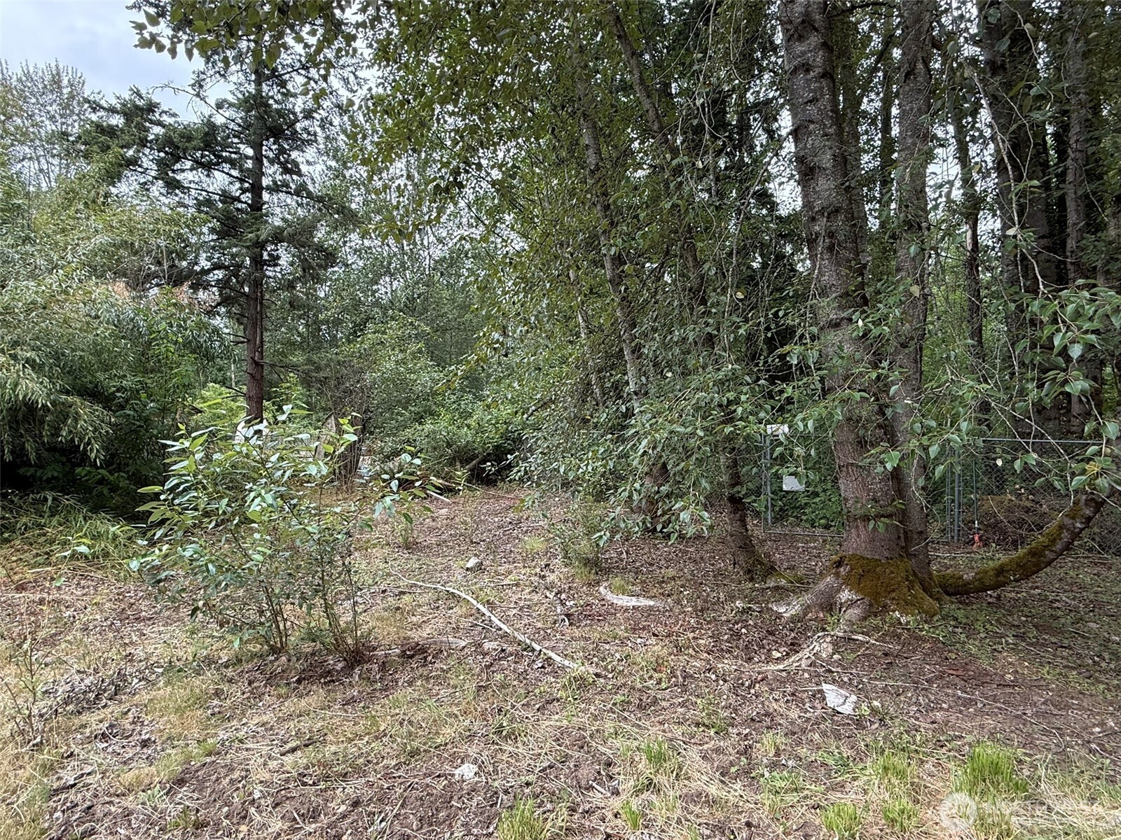 1810 S 27th Street Property Photo 6