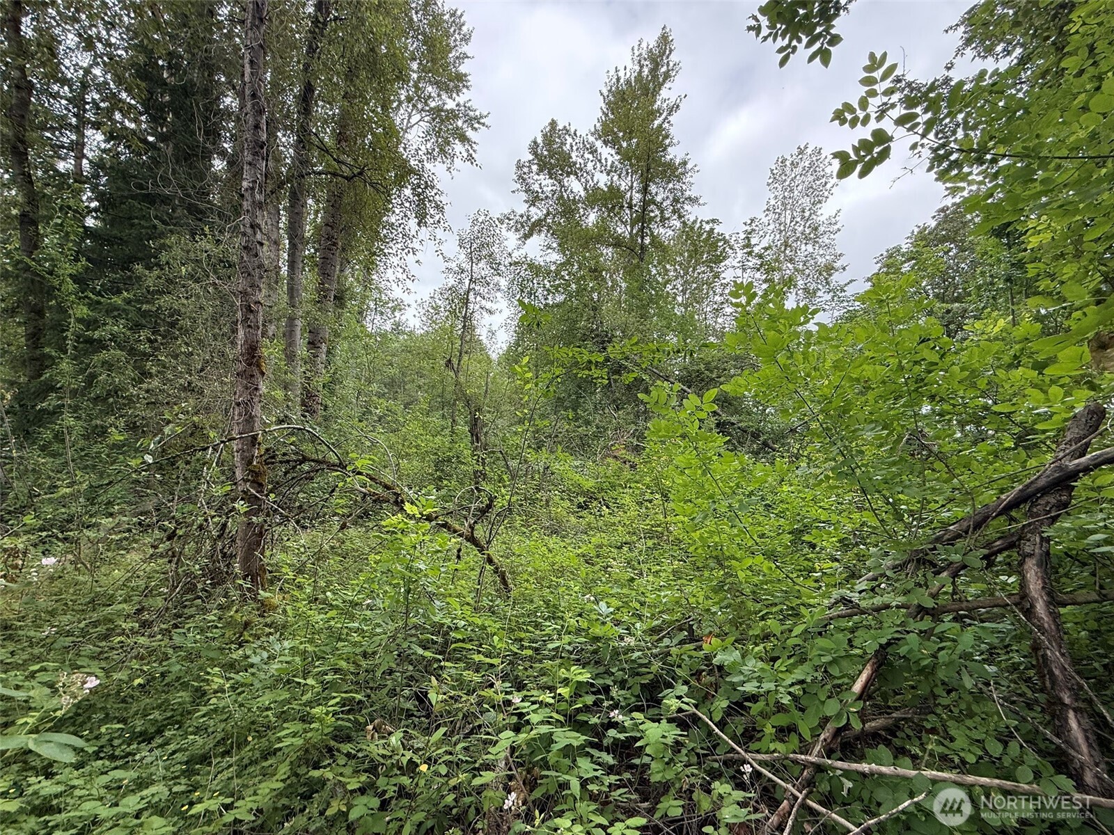 1810 S 27th Street Property Photo 12