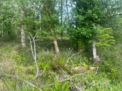 543 Duck Lake Drive Property Photo 2