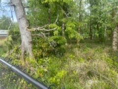 543 Duck Lake Drive Property Photo 8