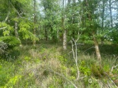543 Duck Lake Drive Property Photo 9