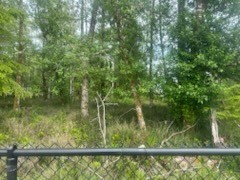 543 Duck Lake Drive Property Photo 10