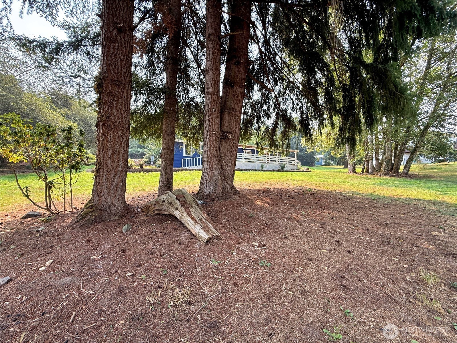 3459 Us Highway 12 Property Photo 22