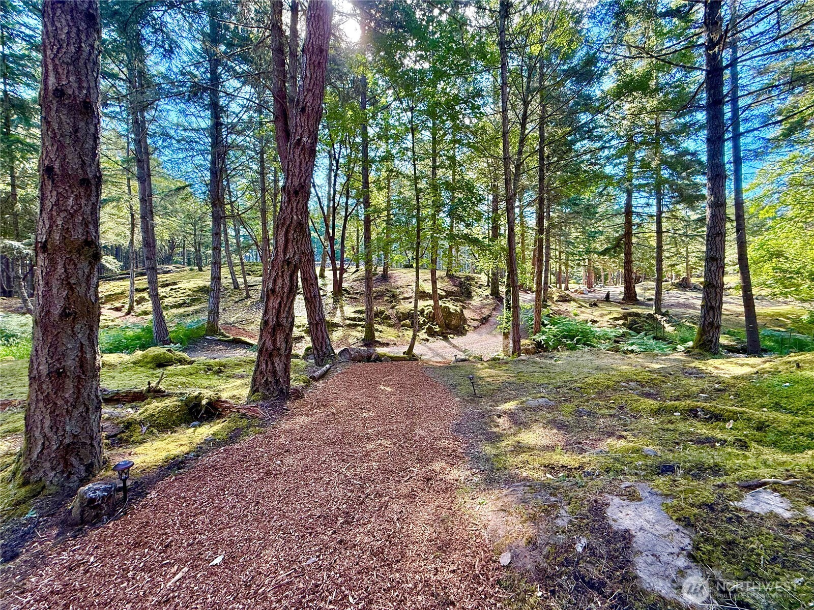 0 Kiya Way Property Photo 1