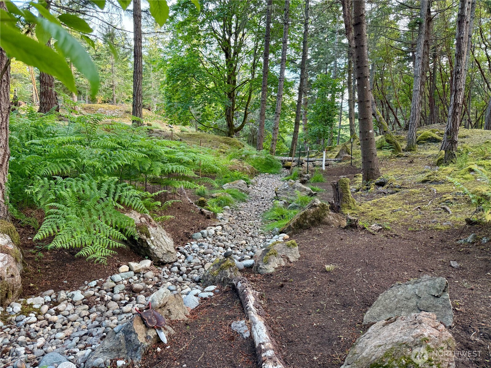 0 Kiya Way Property Photo 3