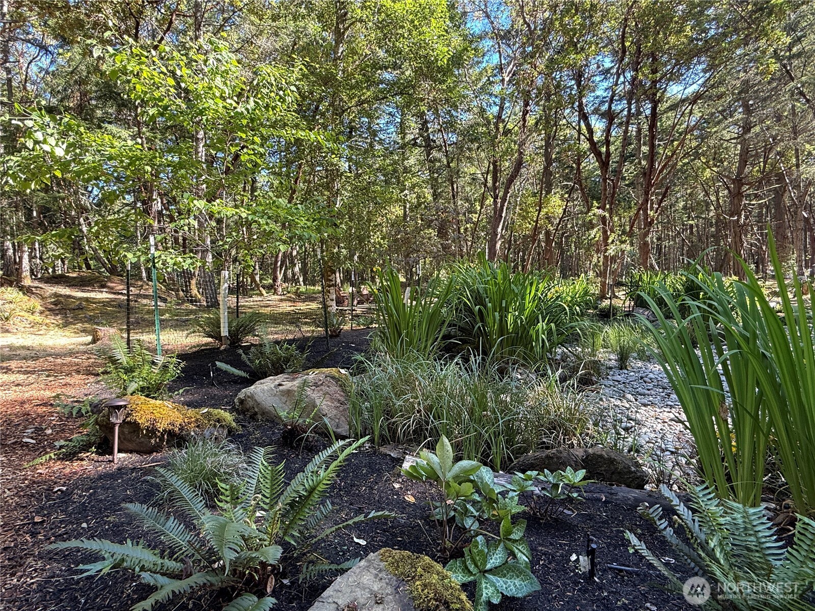 0 Kiya Way Property Photo 12