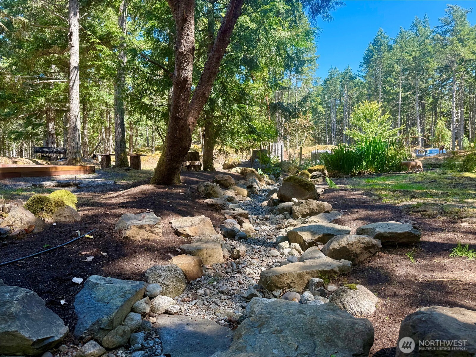 0 Kiya Way Property Photo 22
