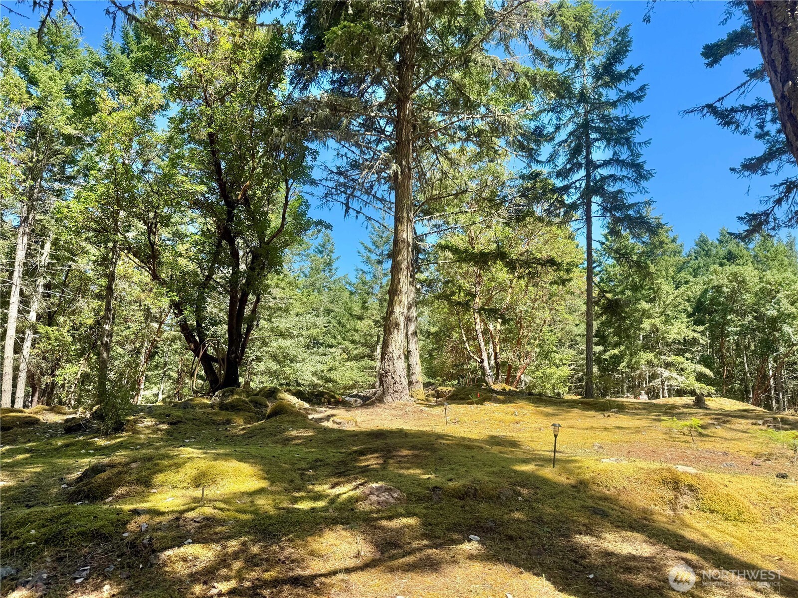 0 Kiya Way Property Photo 23