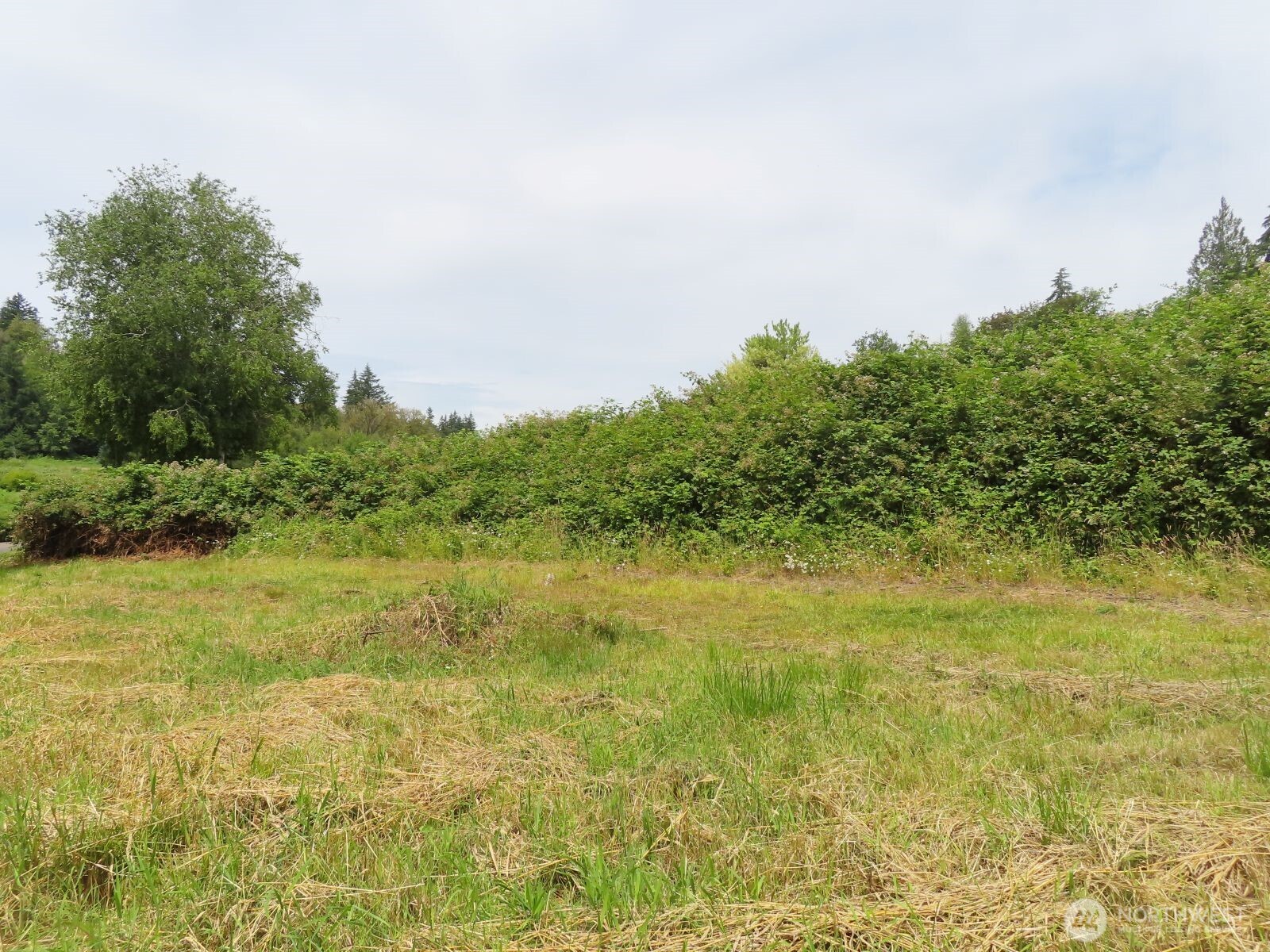 0 Xxx Coleman Road Property Photo 3