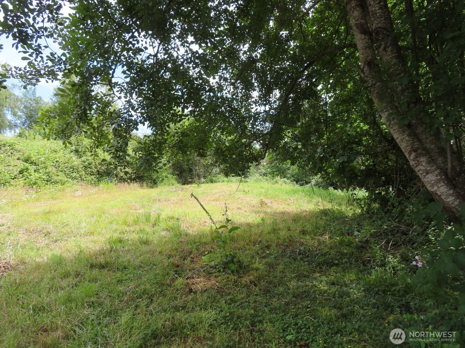 0 Xxx Coleman Road Property Photo 13