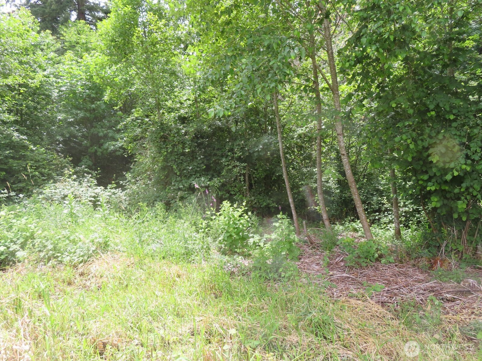 0 Xxx Coleman Road Property Photo 16