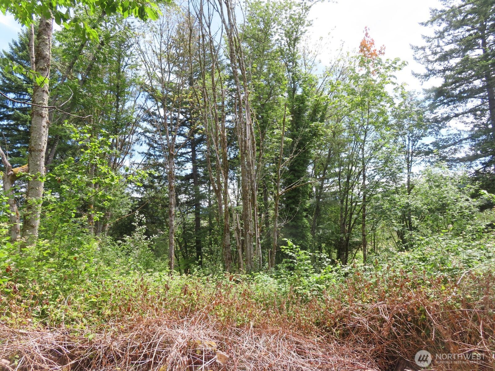 0 Xxx Coleman Road Property Photo 19