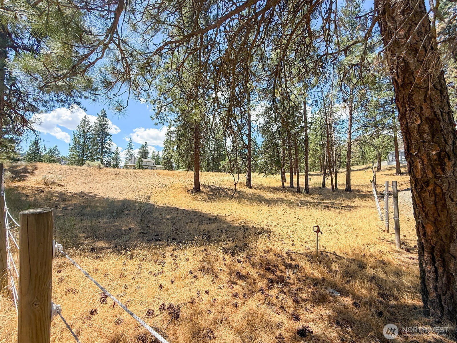113 Crumbacher Road Property Photo 6