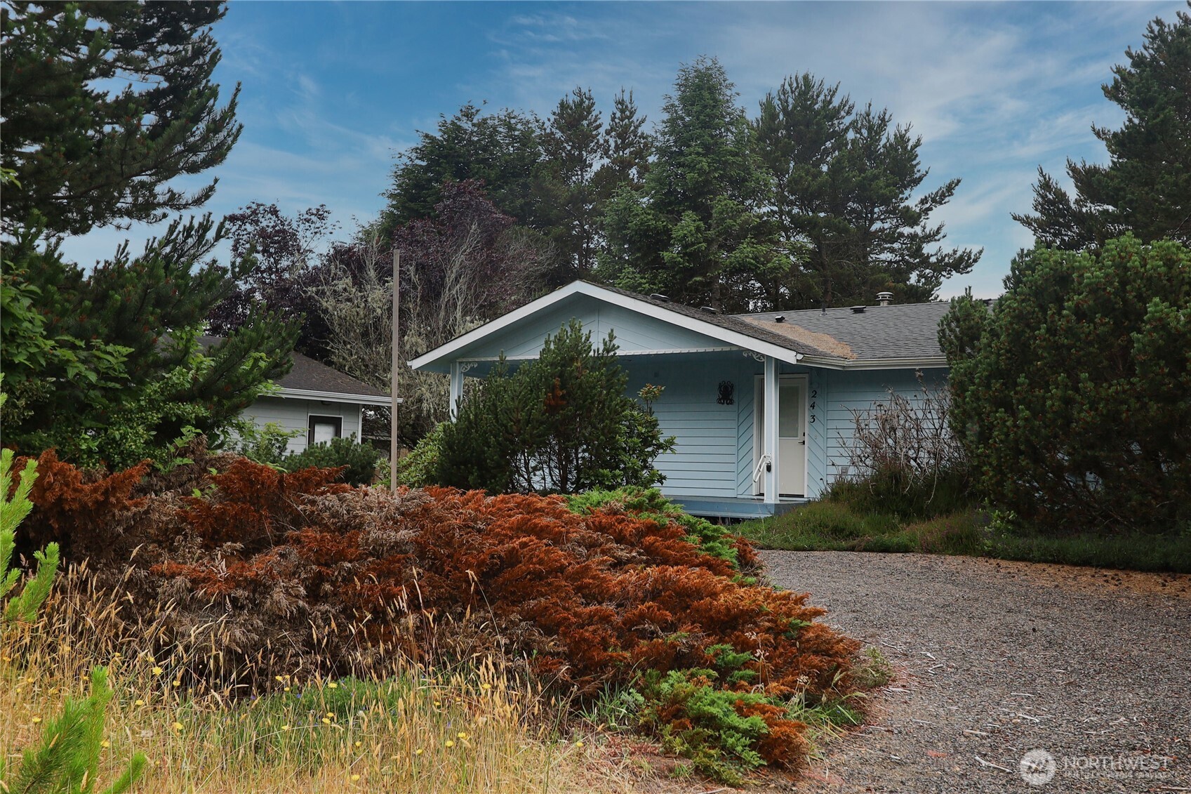 243 Octopus Avenue Property Photo 4