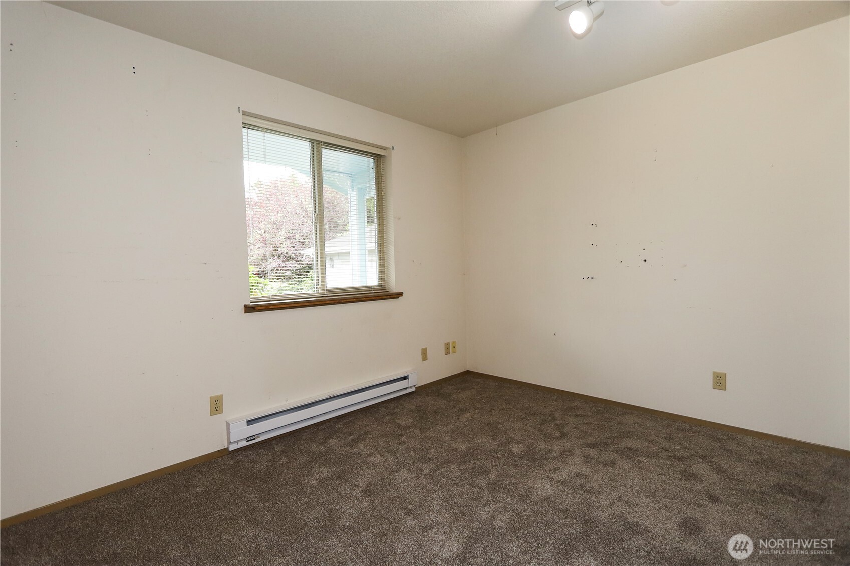 243 Octopus Avenue Property Photo 11
