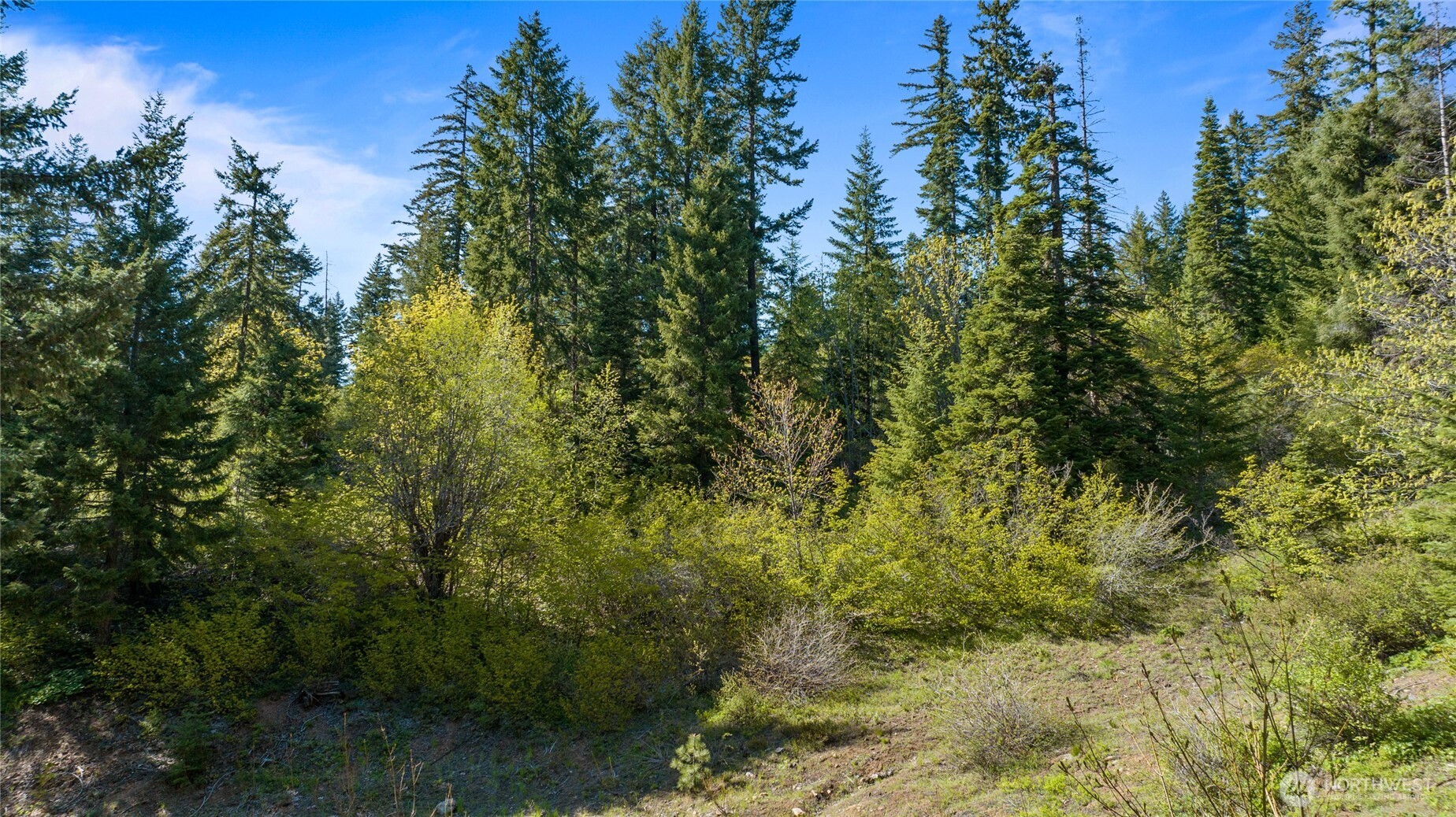 40 Newport Creek Loop Property Photo 10