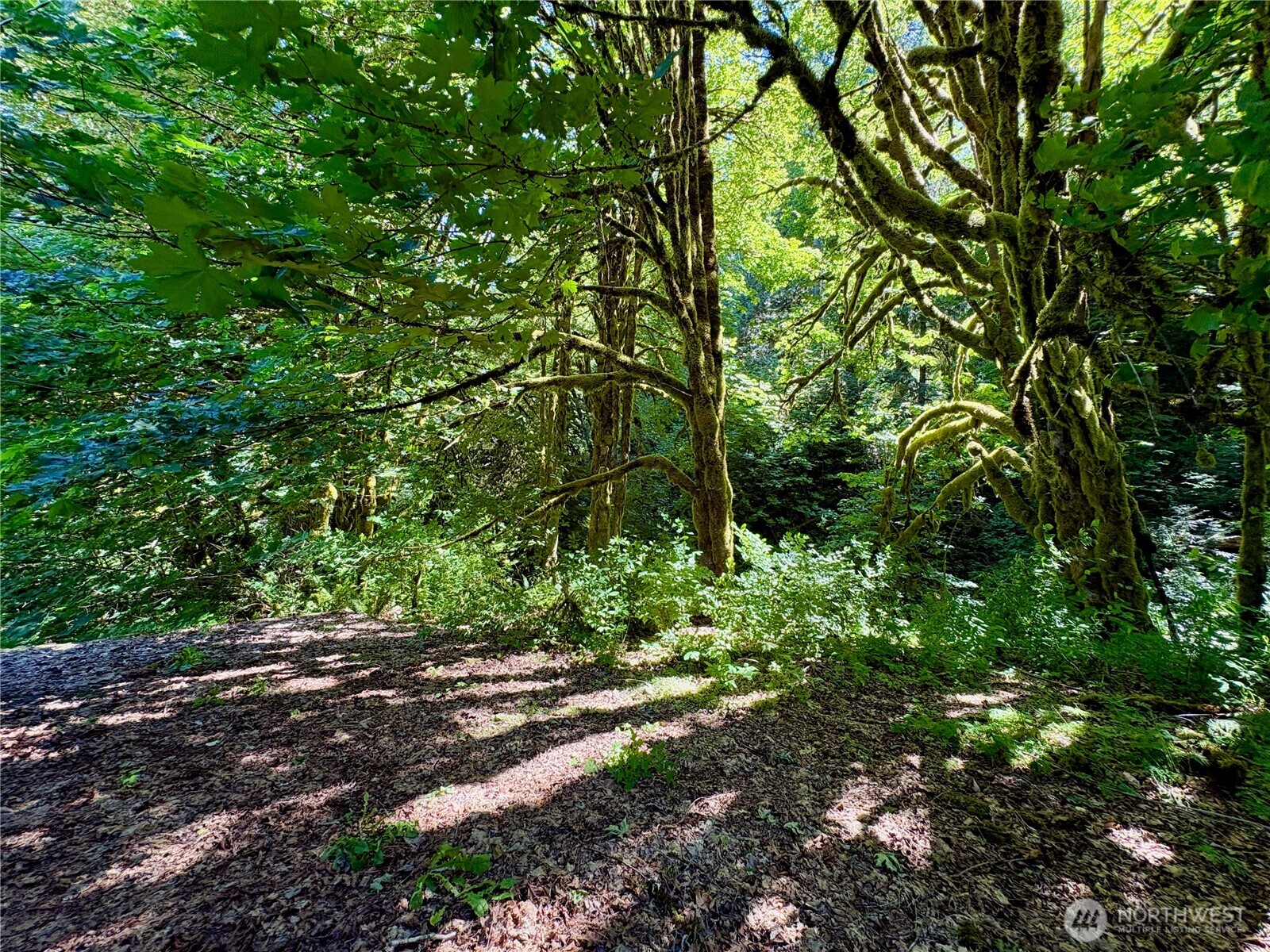 23501 N Us Highway 101 Property Photo 11