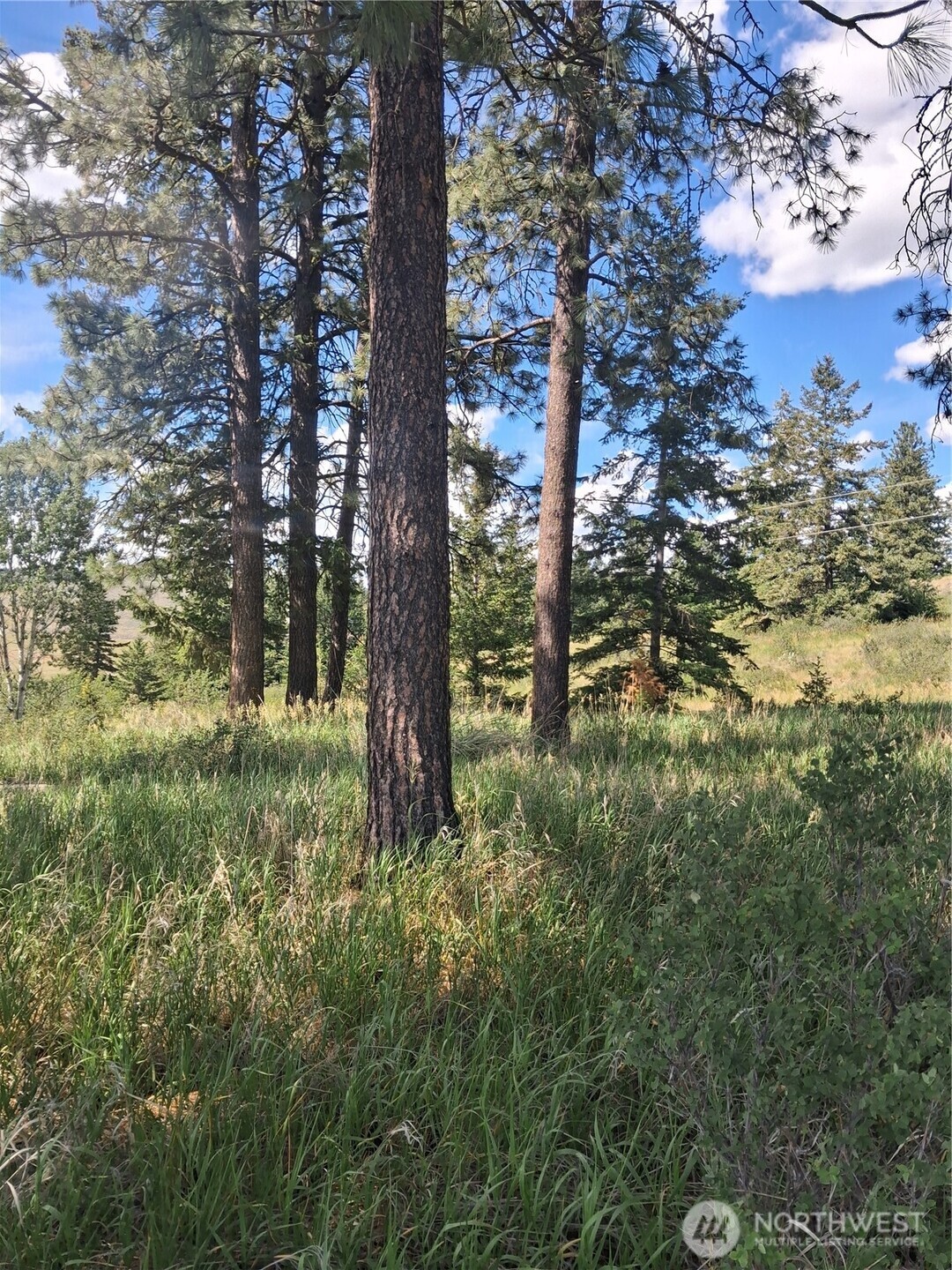 1 Fletcher/rd 225 Road Property Photo 9